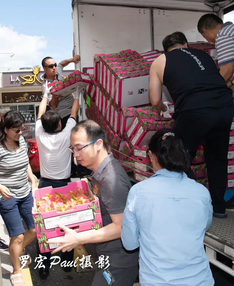 关于顶级球员参与全球抗击疫情的义卖活动的信息